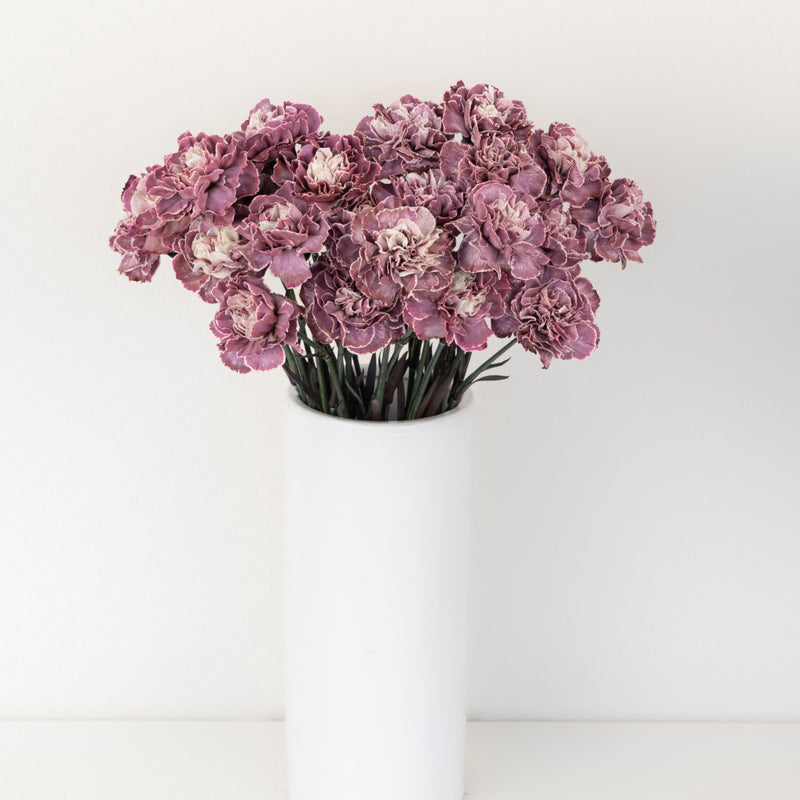 Plum Noir Tinted Carnation Flowers Vase - Image