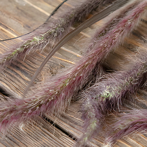 Bulk Fountain Grass