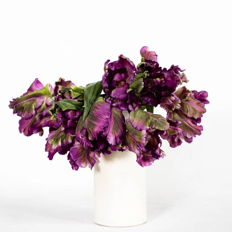 Amethyst Garden Parrot Tulip Vase - Image
