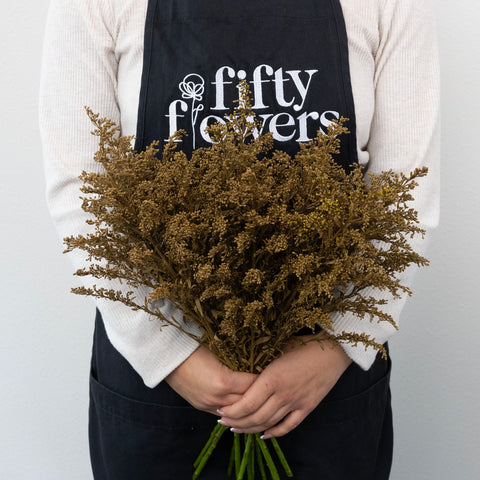 Brown Sugar Tinted Solidago Flowers Apron - Image