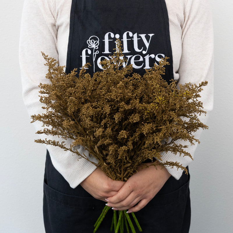 Brown Sugar Tinted Solidago Flowers Apron - Image