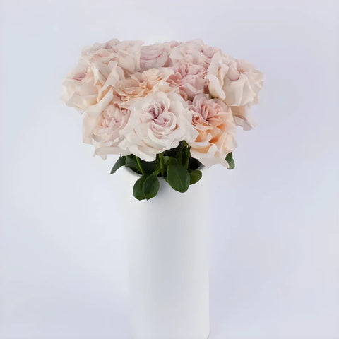 Blushing Button Garden Rose Apron - Image