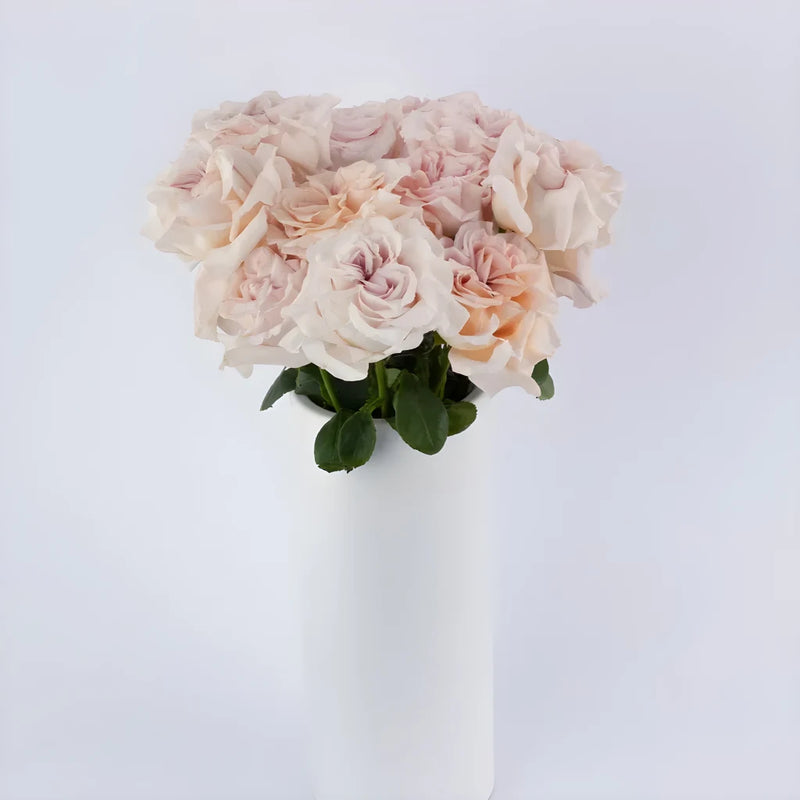 Blushing Button Garden Rose Apron - Image