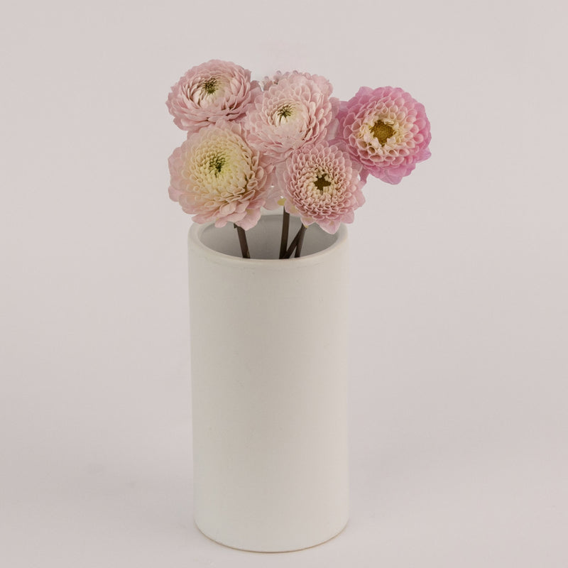 Sugar Plum Dahlia Flower Vase - Image