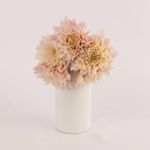 Evening Sun Dinner Plate Dahlia Flower Vase - Image
