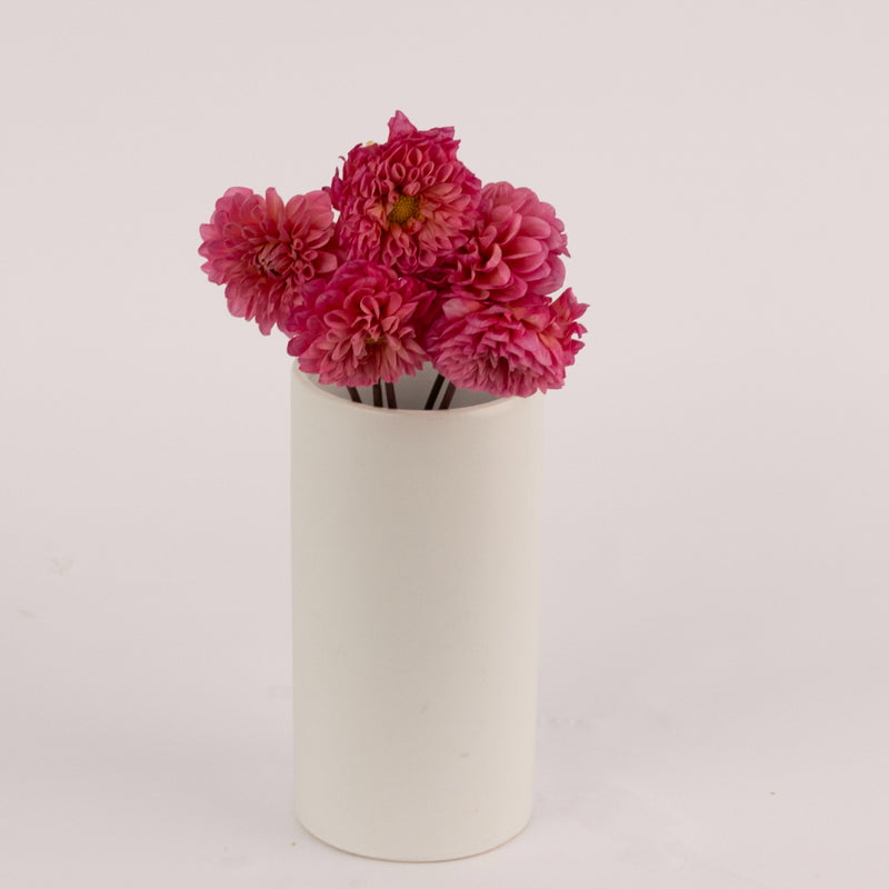 Pink Sherbet Dahlia Flower Apron - Image