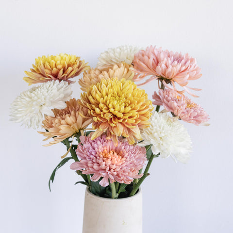 Honeycomb Chrysanthemum Flower Kit Stem - Image