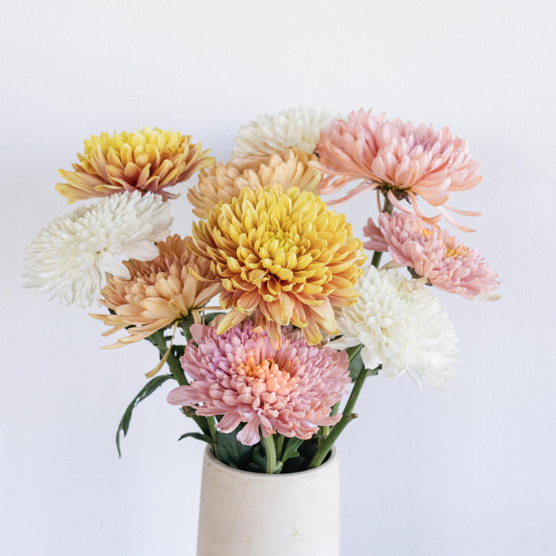 Honeycomb Chrysanthemum Flower Kit Stem - Image
