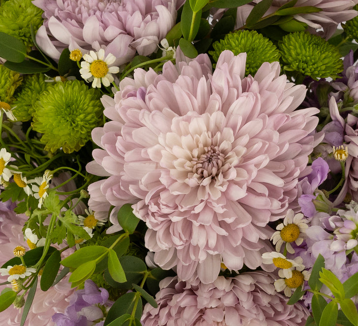 Wild About You Diy Flower Kit Close Up - Image