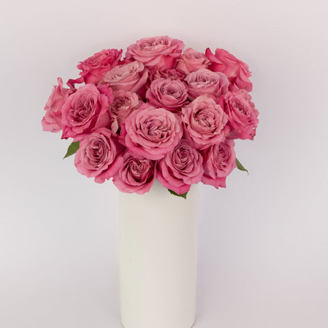 All For Love Pink Rose Vase - Image