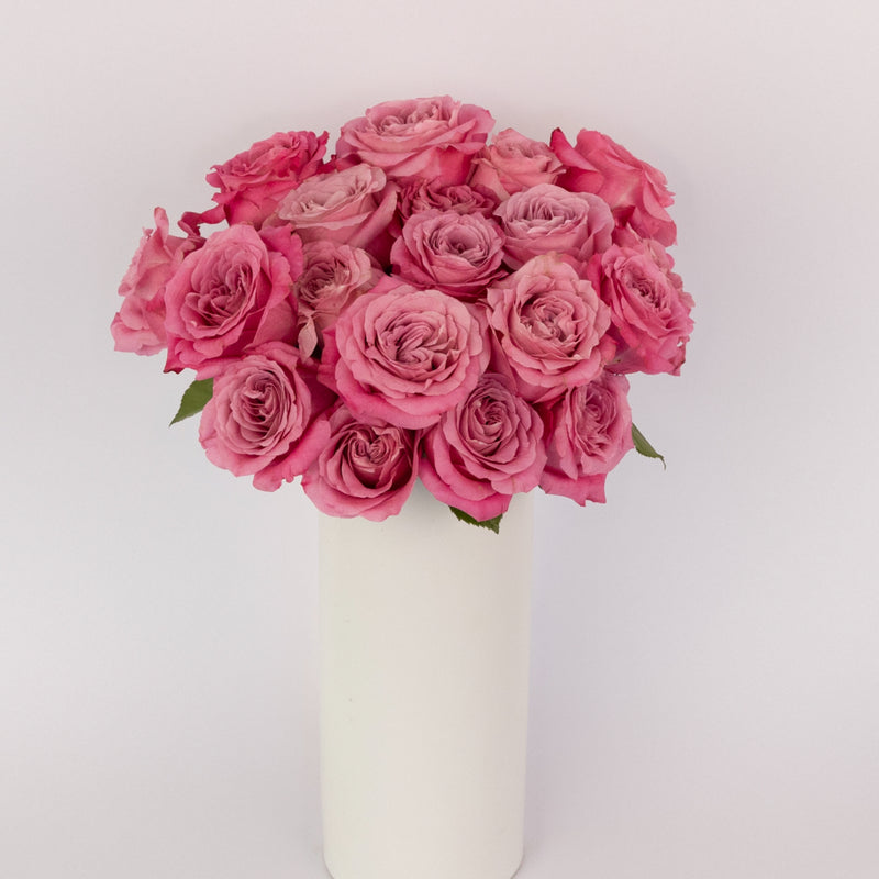 All For Love Pink Rose Vase - Image