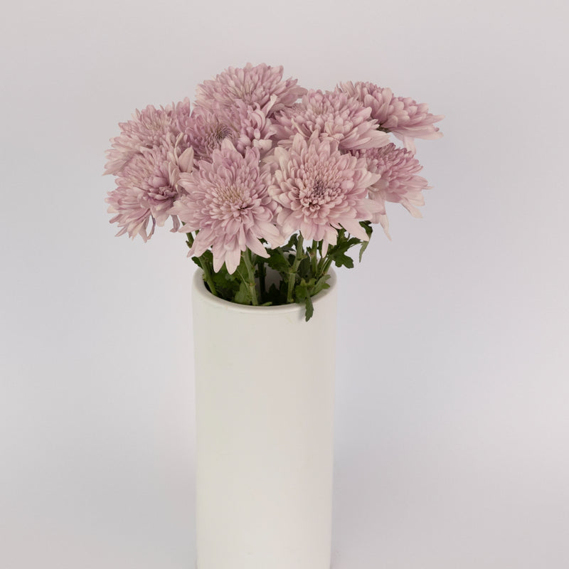 Lavender Tinted Cremon Mum Vase - Image