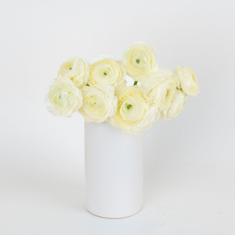 Champagne Wholesale Ranunculus Flowers Vase - Image