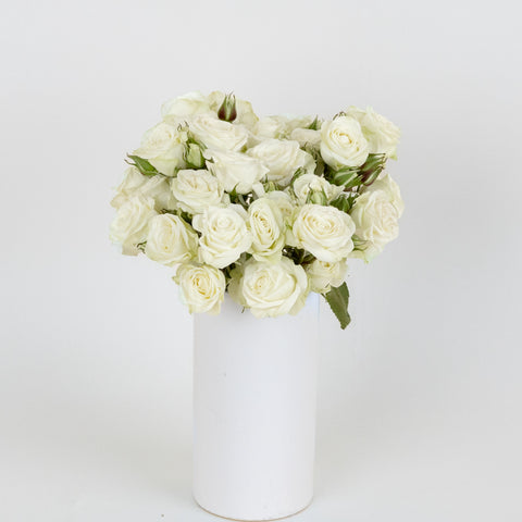Floreana White Spray Roses Vase - Image