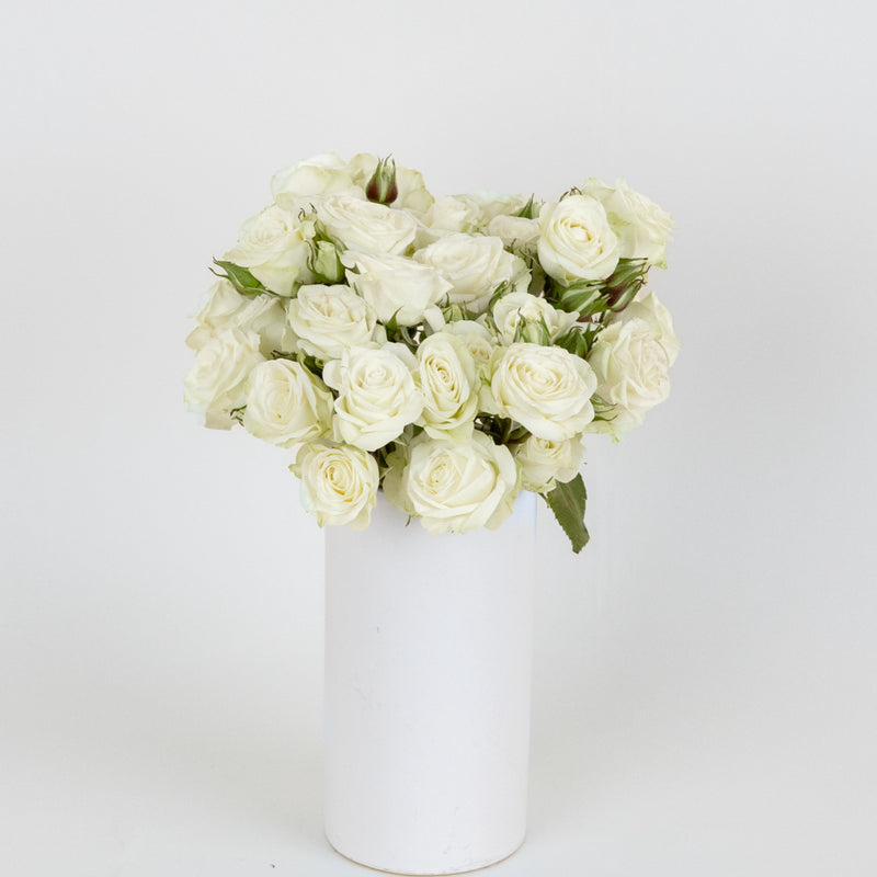 Floreana White Spray Roses Vase - Image