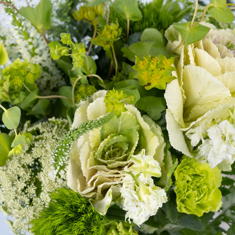 Moss Green Diy Flower Kit Close Up - Image