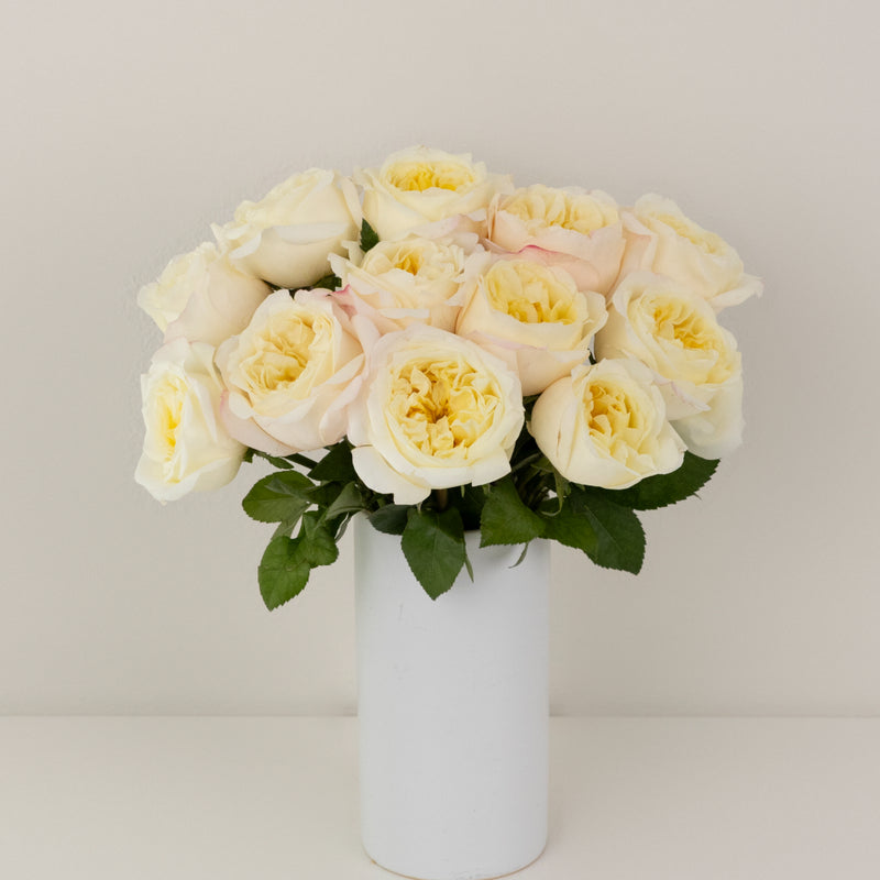 Fatima Garden Rose Vase - Image