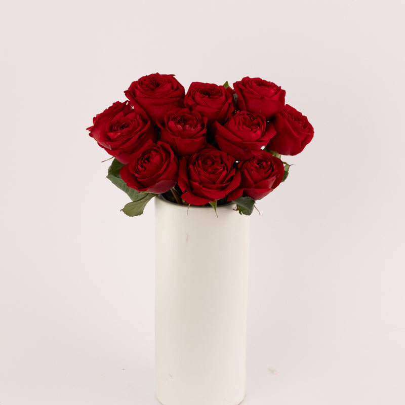 Romance Red Garden Rose Vase - Image