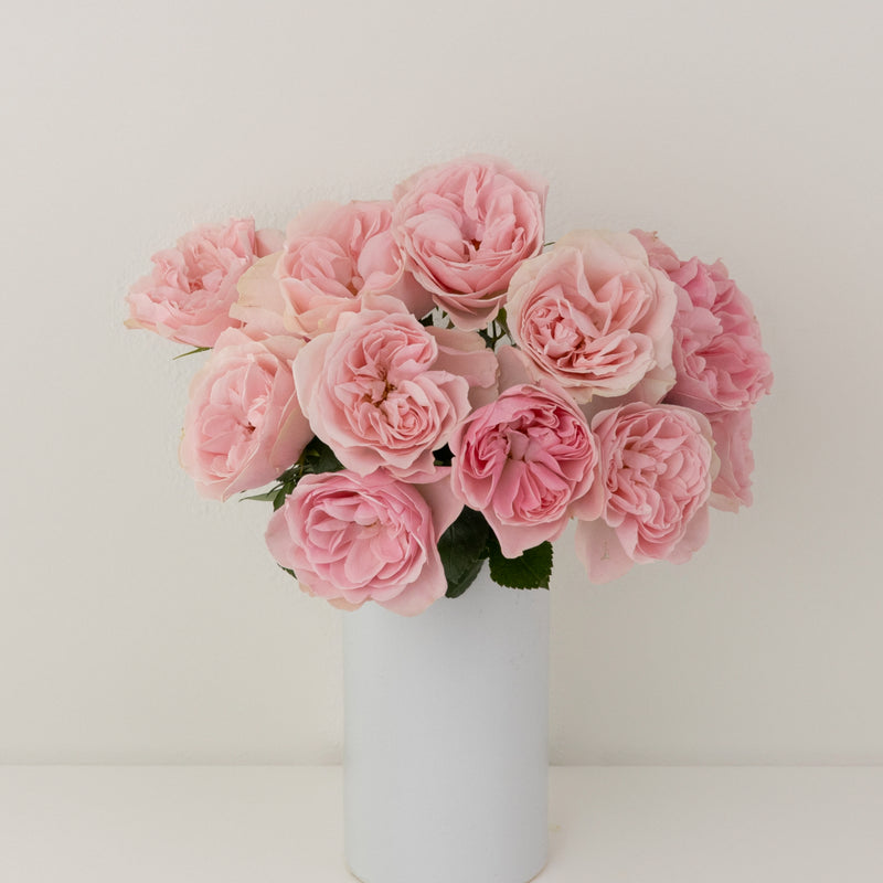 Pimpinela Pink Garden Rose Vase - Image