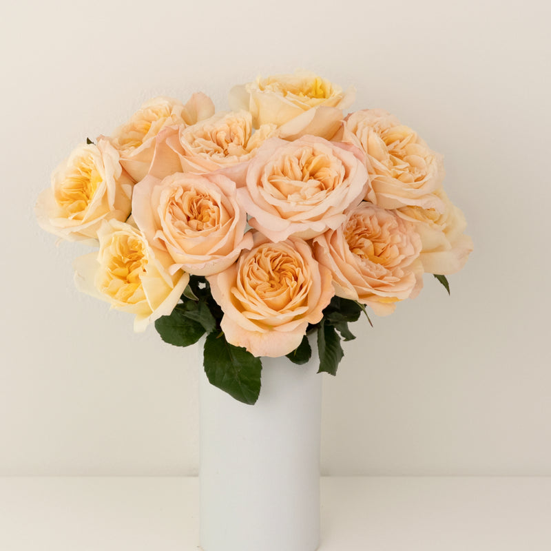 Tie Dye Peach Garden Rose Vase - Image