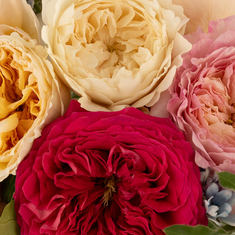 Botanical Romance Flower Bouquet Stem - Image