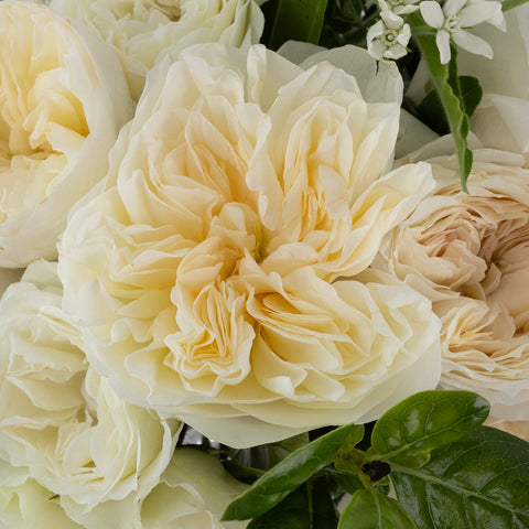 Ivory Garden Luxe Flower Centerpiece Stem - Image