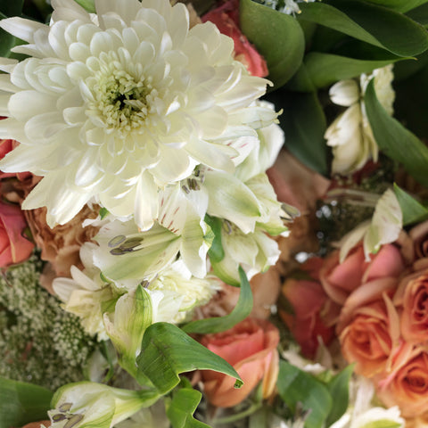 Sweet Lady Jane Diy Flower Kit Close Up - Image