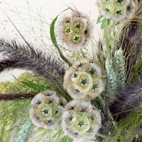 Fall Ornamental Grass Diy Greenery Kit Close Up - Image
