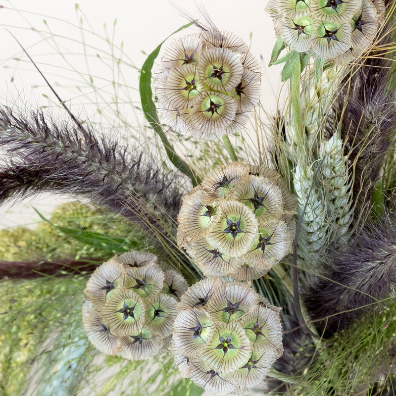 Fall Ornamental Grass Diy Greenery Kit Close Up - Image