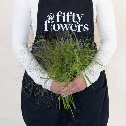 Bulk Explosion Grass Apron - Image
