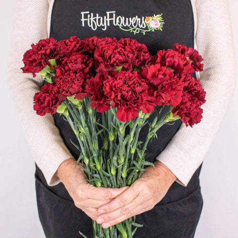 Burgundy CarnationFlower Bunch in Hand