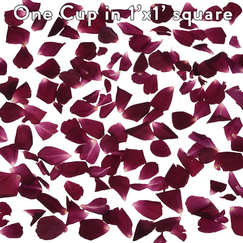 Alluring Beauty Dried Rose Petals