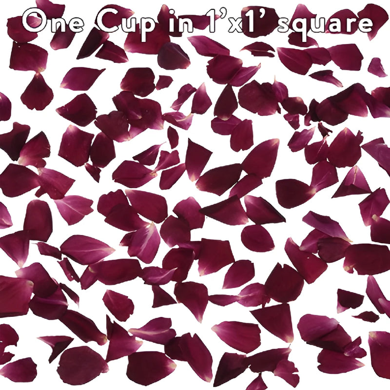 Alluring Beauty Dried Rose Petals