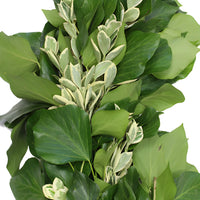 Bush Ivy and Euonymus Greens Garland