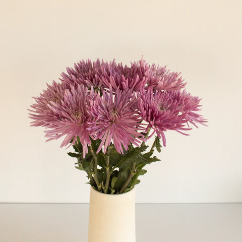 Anastasia Spider Millennial Pink Flowers Vase - Image