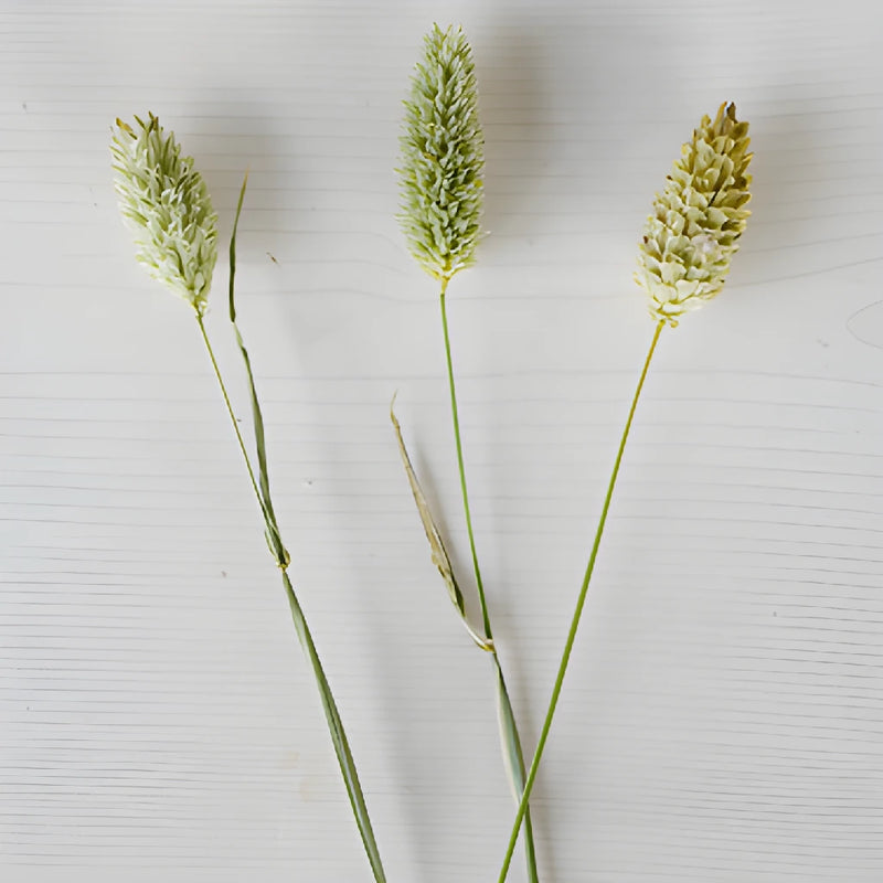 Wedding greenery canary wholesale bulk filler flowers sold near me