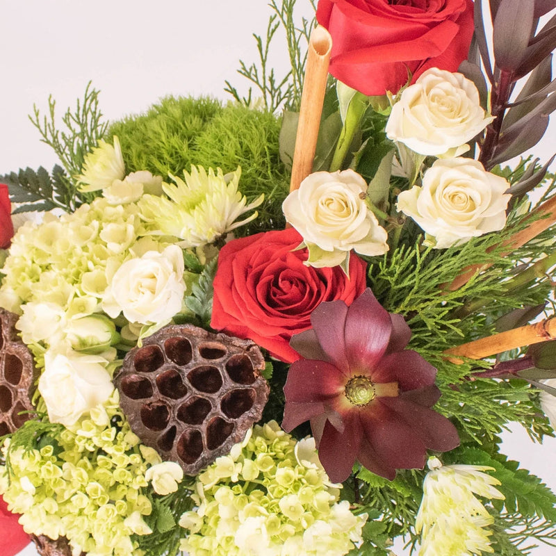Candy Cane Lane DIY Flower Kit