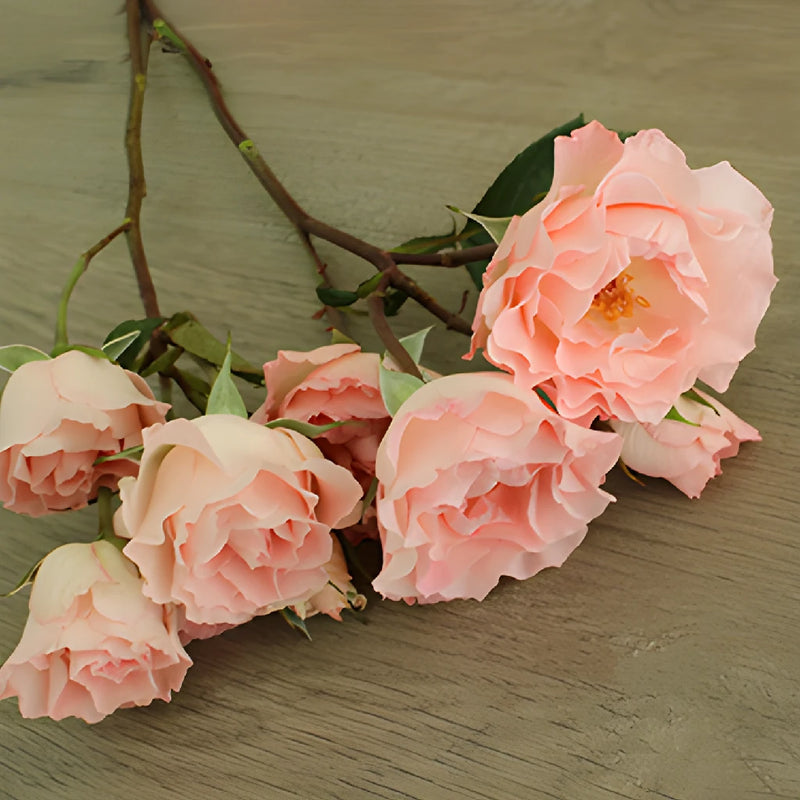 Anastasia Pink Spray Rose Bunch