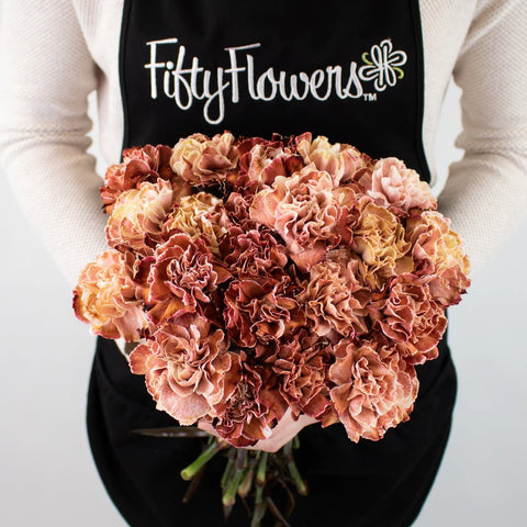 Brown Carnation Flower Bunch in Hand
