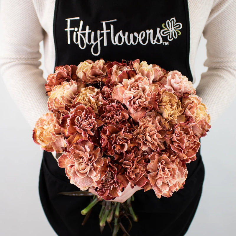Brown Carnation Flower Bunch in Hand