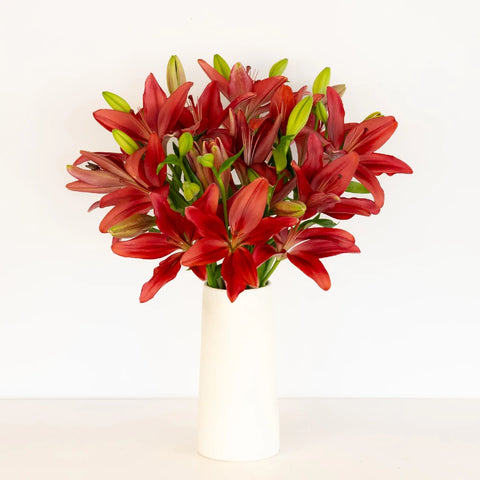 Carmina Red Hybrid Lily Vase - Image