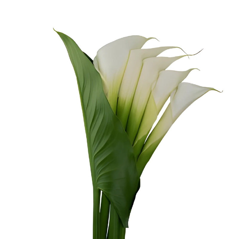 Cascading Calla Lily and Leaf Flower Centerpieces