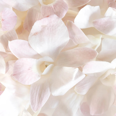 Chanel Blush Loose Orchid Blooms Hand - Image
