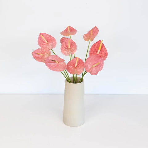Anthurium Bubblegum Pink Tropical Flower Vase - Image