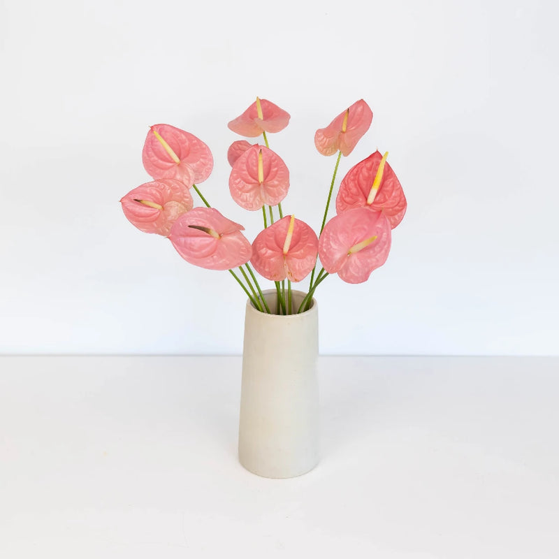 Anthurium Bubblegum Pink Tropical Flower Vase - Image