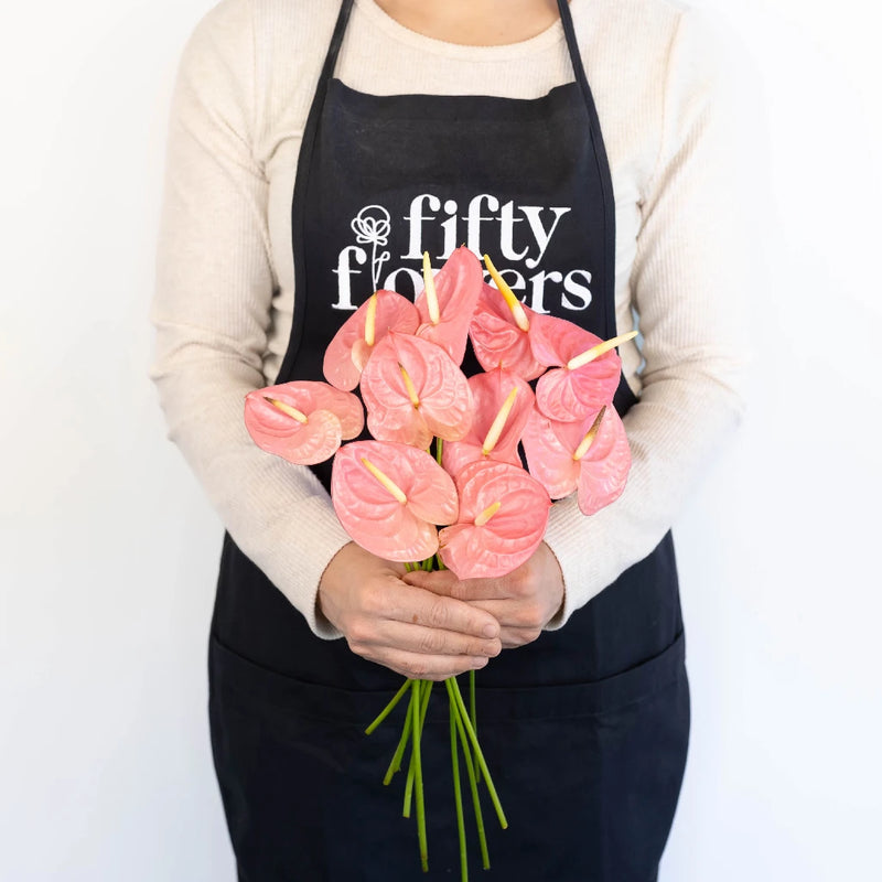 Anthurium Bubblegum Pink Tropical Flower Apron - Image