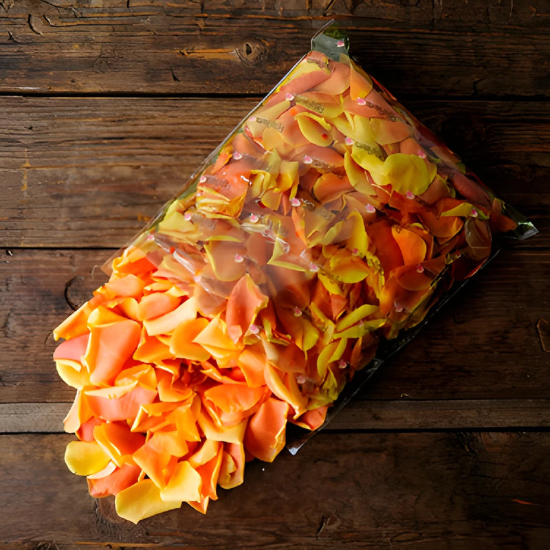 Cherry Brandy Fresh Rose Petals Wholesale
