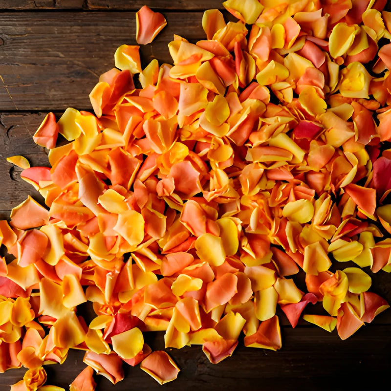 Cherry Brandy Rose Petals for sale