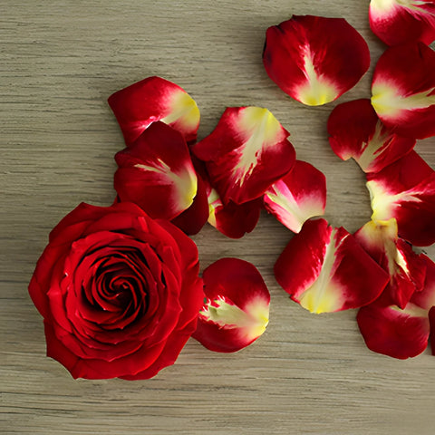 Cherry Pie Red Spray Roses
