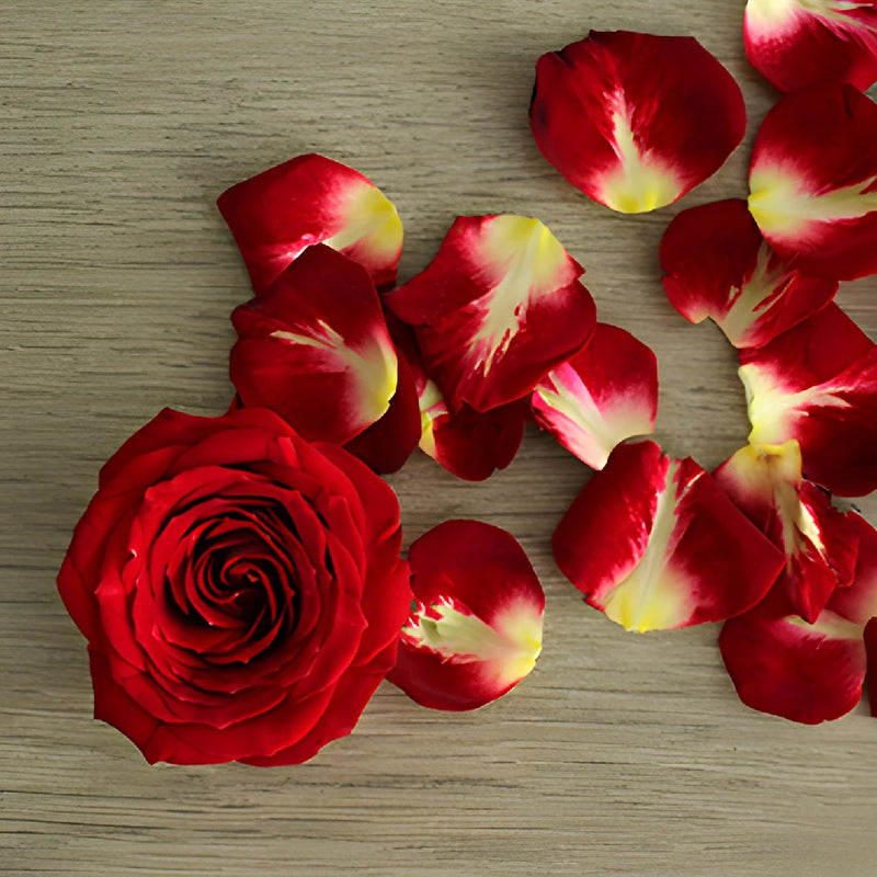 Cherry Pie Red Spray Roses